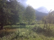 Satılır 12 sot torpaq İsmayıllı