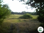 Satılır 124 sot torpaq Xaçmaz