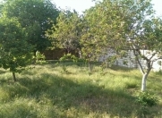 Satılır 5 sot torpaq Saray