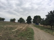 Satılır 3000 sot torpaq Şəmkir