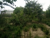 Satılır 24 sot torpaq Fatmayı