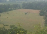 Satılır 5000 sot torpaq Qusar