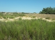 Satılır 12 sot torpaq Kürdəxanı