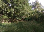 Satılır 12 sot torpaq Şamaxı