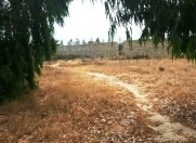 Satılır 36 sot torpaq Şüvəlan