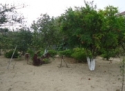 Satılır 6 sot torpaq Bakıxanov