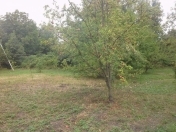 Satılır 15 sot torpaq İsmayıllı