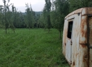 Satılır 55 sot torpaq Qusar