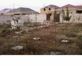 Satılır 1.5 sot torpaq Digah