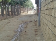 Satılır 3 sot torpaq Saray