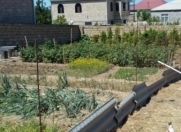 Satılır 10 sot torpaq Nübar