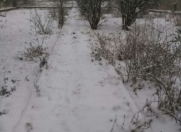 Satılır 11 sot torpaq Bilgəh