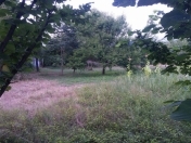 Satılır 5 sot torpaq İsmayıllı