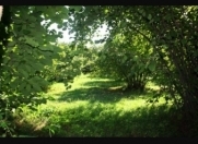 Satılır 200 sot torpaq Oğuz