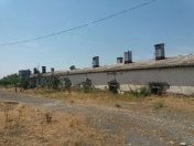 Satılır 10 otaqlı 150000 m2 obyekt Göyçay