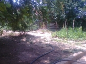 Satılır 2 sot torpaq Buzovna