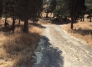 Satılır 5 sot torpaq İctimai telekanalı