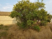 Satılır 4 sot torpaq Maştağa