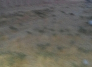 Satılır 13 sot torpaq Saray