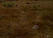 Satılır 4 sot torpaq Görədil