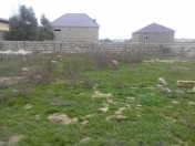 Satılır 4 sot torpaq Hövsan