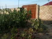 Satılır 12 sot torpaq Kürdəxanı