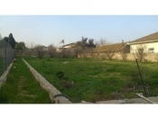 Satılır 14 sot torpaq Buzovna