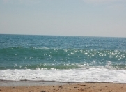 Satılır 12 sot torpaq Lənkəran