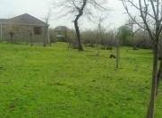 Satılır 3 sot torpaq Zaqatala