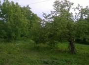 Satılır 18 sot torpaq İsmayıllı