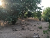 Satılır 12 sot torpaq Maştağa
