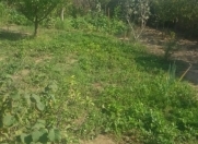 Satılır 5 sot torpaq Sumqayıt