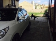 Satılır 4 otaqlı 140 m2 həyət evi Ceyranbatan