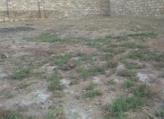 Satılır 4 sot torpaq Zabrat 1