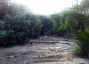 Satılır 2 sot torpaq Biləcəri