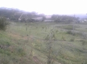 Satılır 20 sot torpaq Şabran