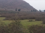 Satılır 180 sot torpaq Lənkəran