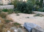 Satılır 3 sot torpaq Əhmədli