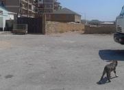 Satılır 6 sot torpaq Mehdiabad