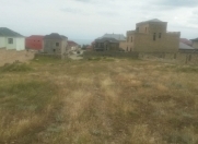 Satılır 16 sot torpaq Badamdar