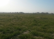 Satılır 20 sot torpaq Məhəmmədli