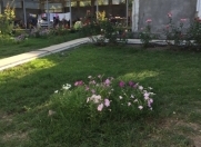 İcarəyə verilir 2 otaqlı 40 m2 həyət evi Qəbələ