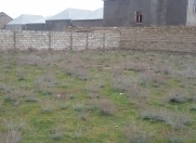 Satılır 3 sot torpaq Port Baku