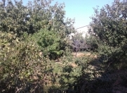 Satılır 5 sot torpaq Mehdiabad