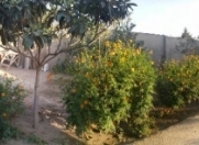 Satılır 4 otaqlı 110 m2 həyət evi Binə