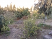 Satılır 6 sot torpaq Görədil