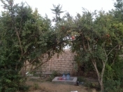 Satılır 2.5 sot torpaq Sumqayıt