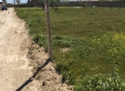 Satılır 30 sot torpaq Binə