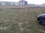 Satılır 10 sot torpaq Dübəndi bağları