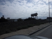 Satılır 27 sot torpaq Bilgəh